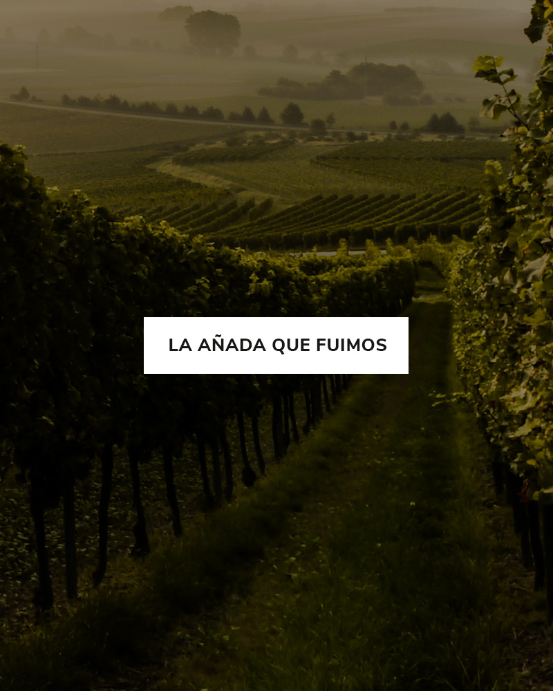 categorías añada que fuimos Una fotografía usada para la categoría de añada que fuimos