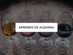 Fotografía usada para la categoría de aprendiz de alquimia